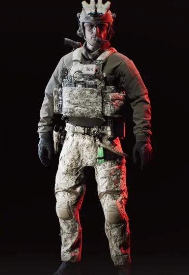 AOR 1 BELT and CRYE PANTS