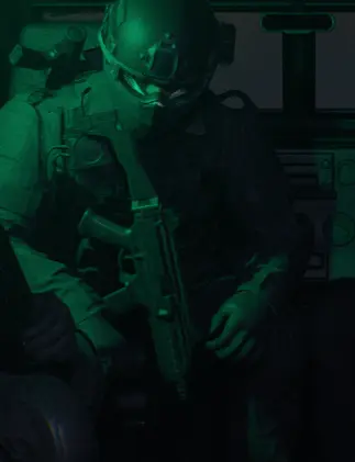 Holstered