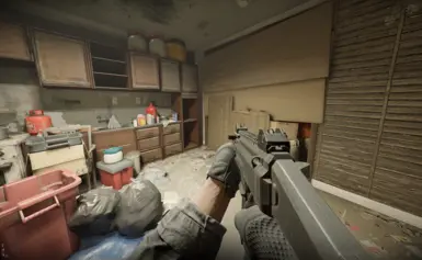 In game view 1