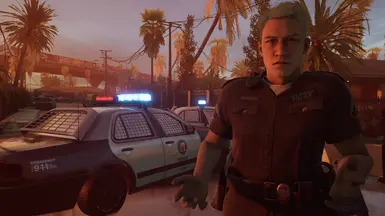 Ambient Cops