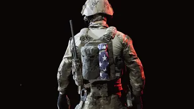 MSV Gen II Plate Carrier at Ready or Not Nexus - Mods and community