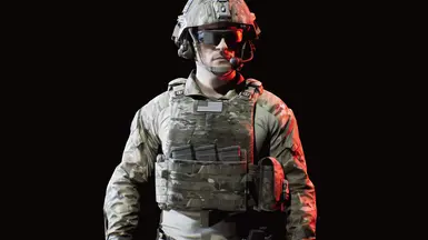 MSV Gen II Plate Carrier at Ready or Not Nexus - Mods and community