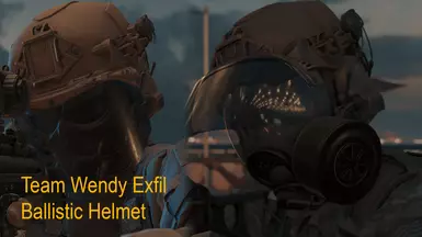 Team Wendy Exfil Ballistic Helmet