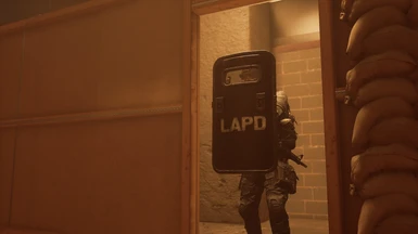 Shield in Shoothouse