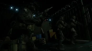 COD MW2019 SAS SWAT Replacer(Adam Update Compitable) at Ready or Not Nexus  - Mods and community