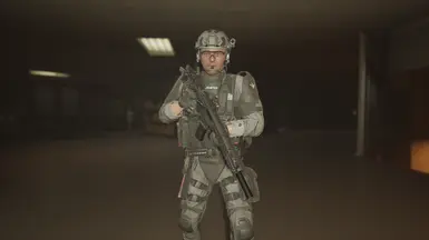 LSPD and FBI 'Wolf Grey' Custom SWAT Uniforms at Ready or Not Nexus ...