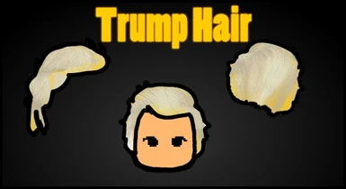 Trump Hair (A17)