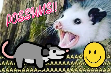 Opossum Mod
