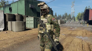 Japanese Self Defense Force Camouflage MOD