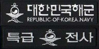 Republic of Korea NAVY