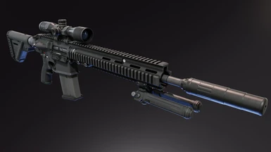 HK417 A1 DMR