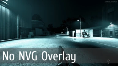 No NVG Overlay