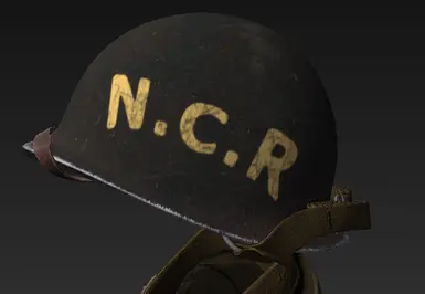 Helmet decals on the NCR regiment version.