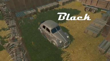 Black Variant