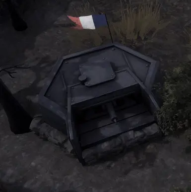 French flag