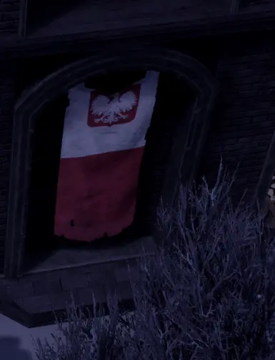 Polish flag