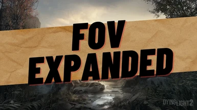 Expanded FOV Options