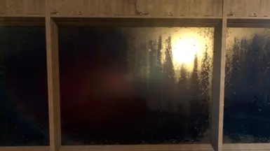 SHINY WINDOWS / REMOVED DECALS