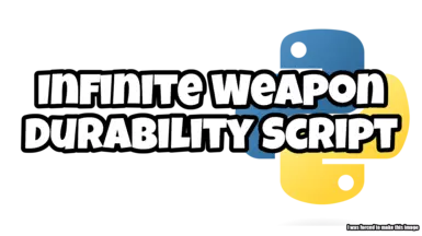 Infinite Weapon Durability Script