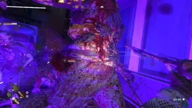 All zombies can be Finisher (all equipped with X-ray).