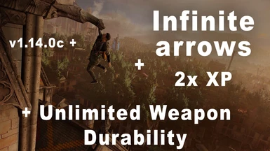 Unlimited Weapon Durability and Infinite Arrows and 2x XP v1.14.0