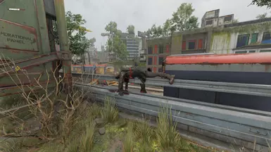 damage rebalance