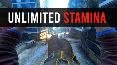 Unlimited Stamina MOD ( Updated )