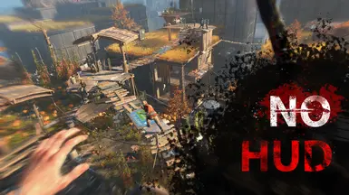 No HUD