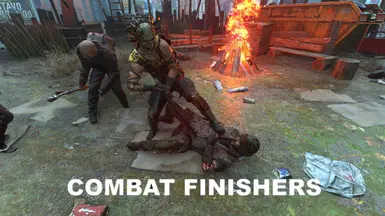 Finishers and TakeDown