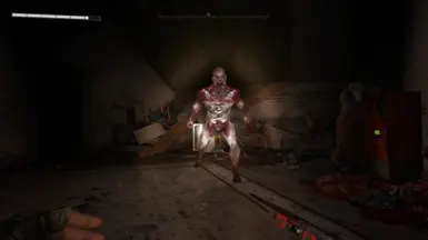 DL1 style normal volatile