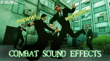 The Matrix Combat Sound Effects