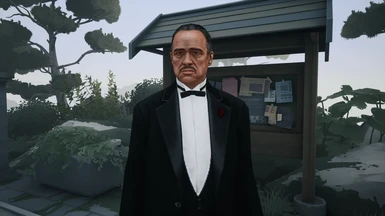 Don Vito Corleone (The Godfather)