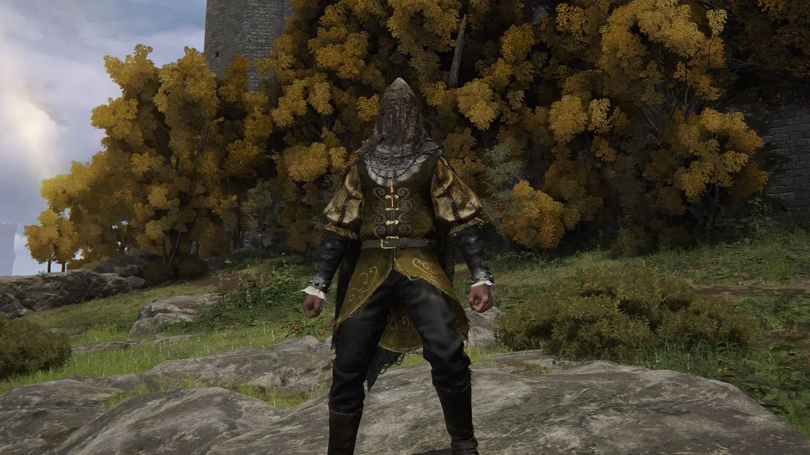 Page Armor Recolored and Cleaned at Elden Ring Nexus - Mods and Community