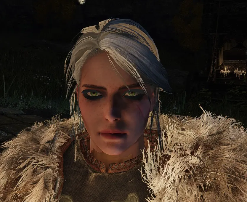 Replace the Land of Reeds Helm with Ciri's head from Witcher 3 at Elden ...