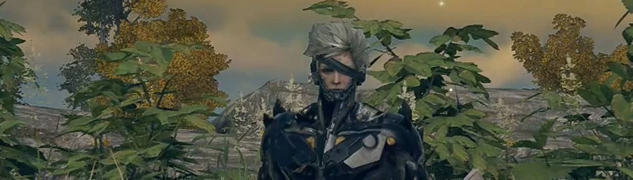 Boss Raiden at Metal Gear Rising: Revengeance Nexus - Mods and