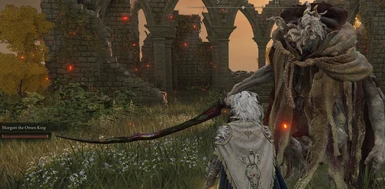 Go adventuring with your favorite Elden Ring NPCs and Bosses with this mod