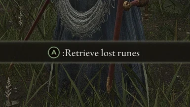 Recover Runes Immediately ( Don't lose Runes ever - Sacrificial Twigs effect ) - NOT an EASY Mode (Updated for Version 1.10)