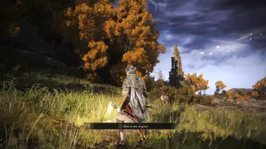 Reshade