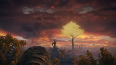 The Sun Falls