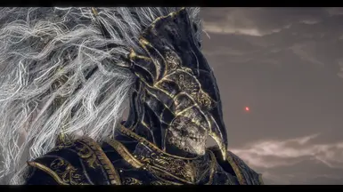Golden jaw ornaments