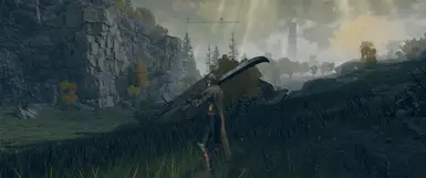 LessWash Reshade