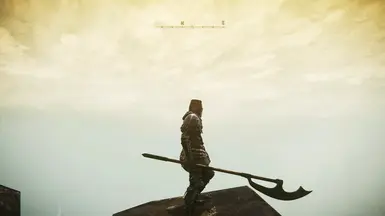 Historical Bardiche 2