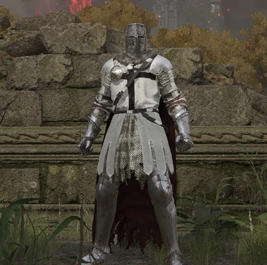 Teutonic knight armor