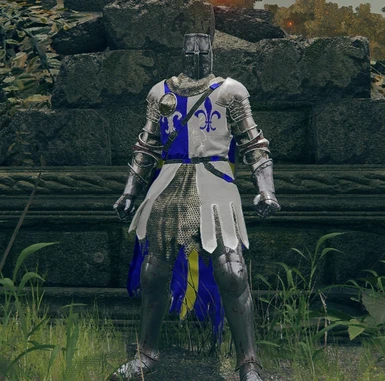 French knight armor