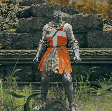Danish knight armor