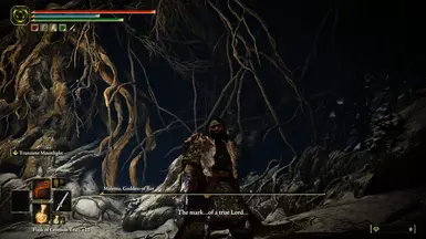 Elden Ring NG 3 Level 200 Save