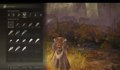 Warrior Start