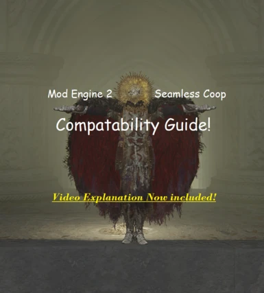 Mod Engine 2 and Seamless Coop Compatibility Guide