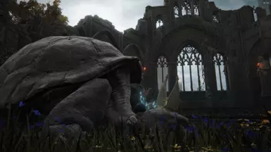 No Reshade