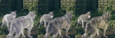 Vanilla / Reduced / Removed